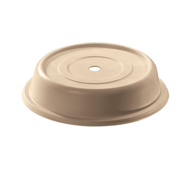Plastic Plate Lid