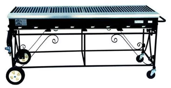 Propane Grill
