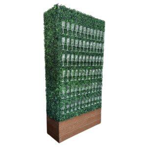 Champagne Hedge Wall